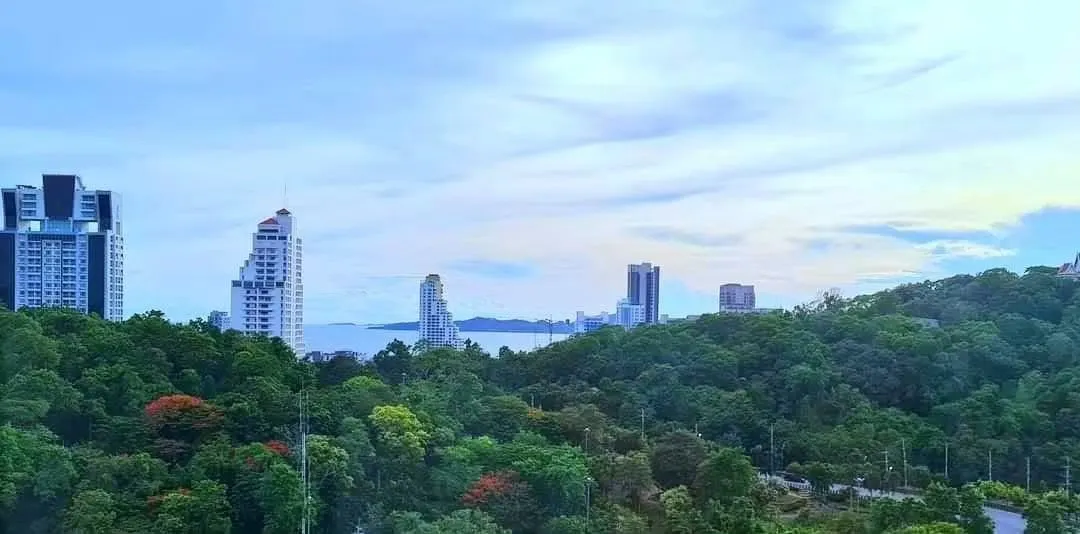Studio Condo for Sale or Rent — photo 3