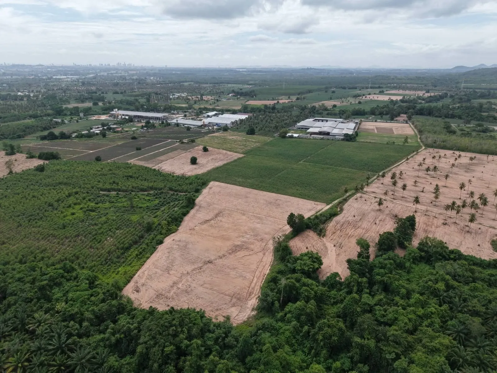 88-Rai Land for Sale โ photo 5