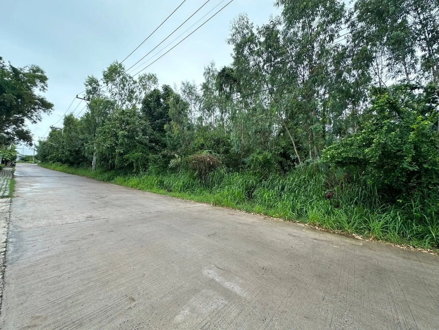 19-Rai Land for Sale — photo 6