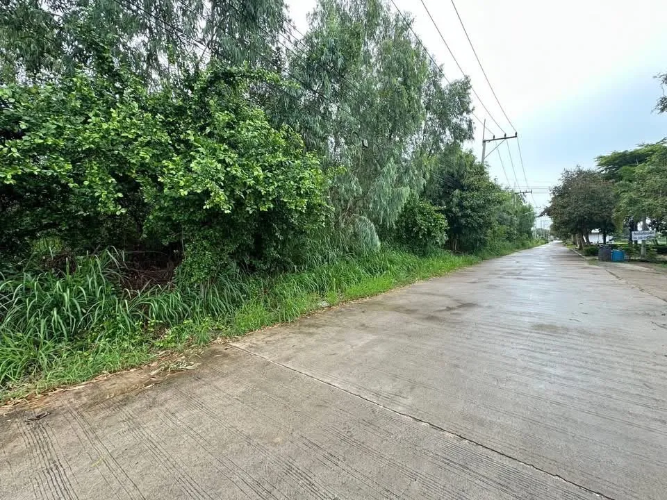 19-Rai Land for Sale — photo 11