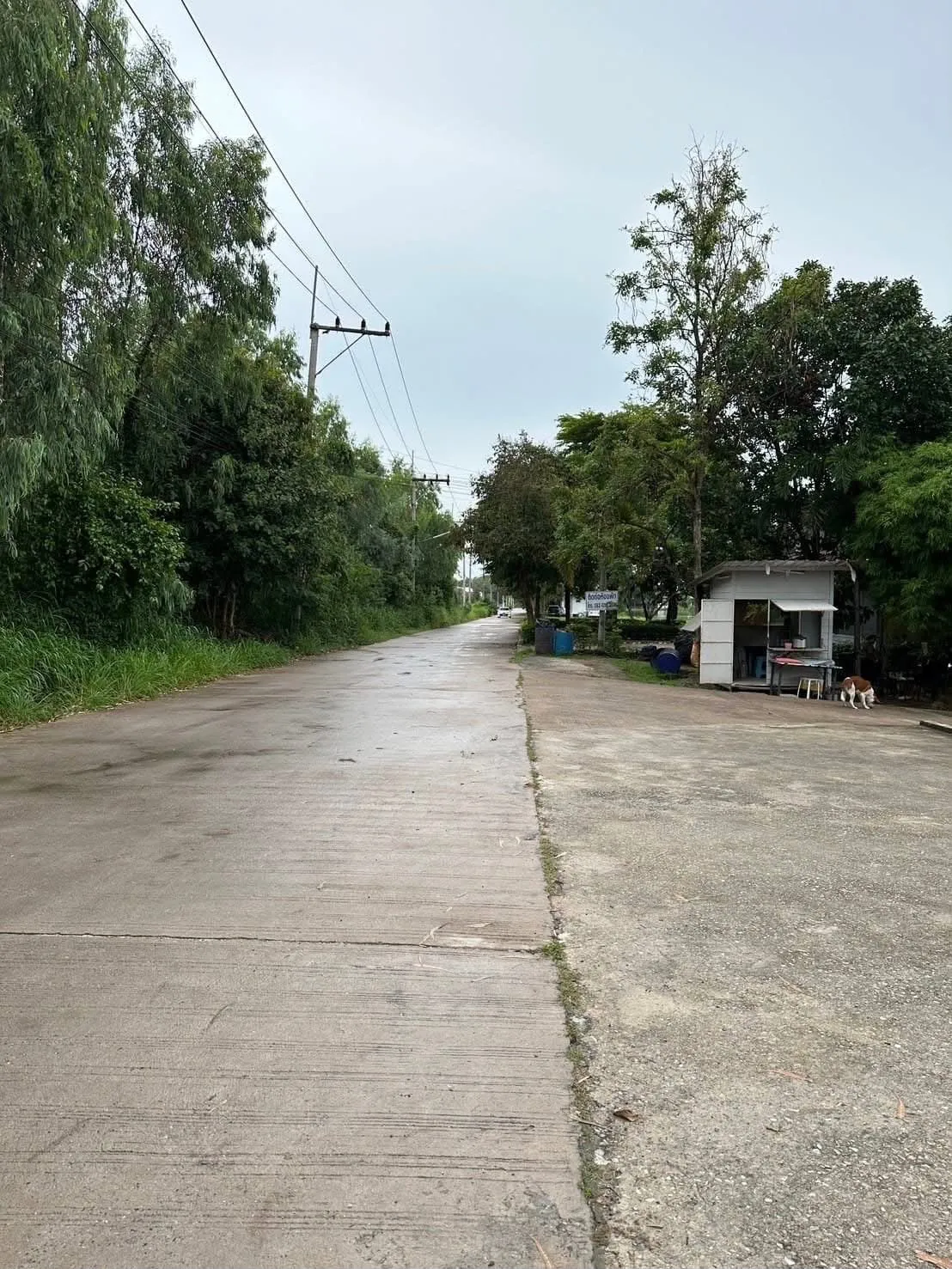 19-Rai Land for Sale — photo 12